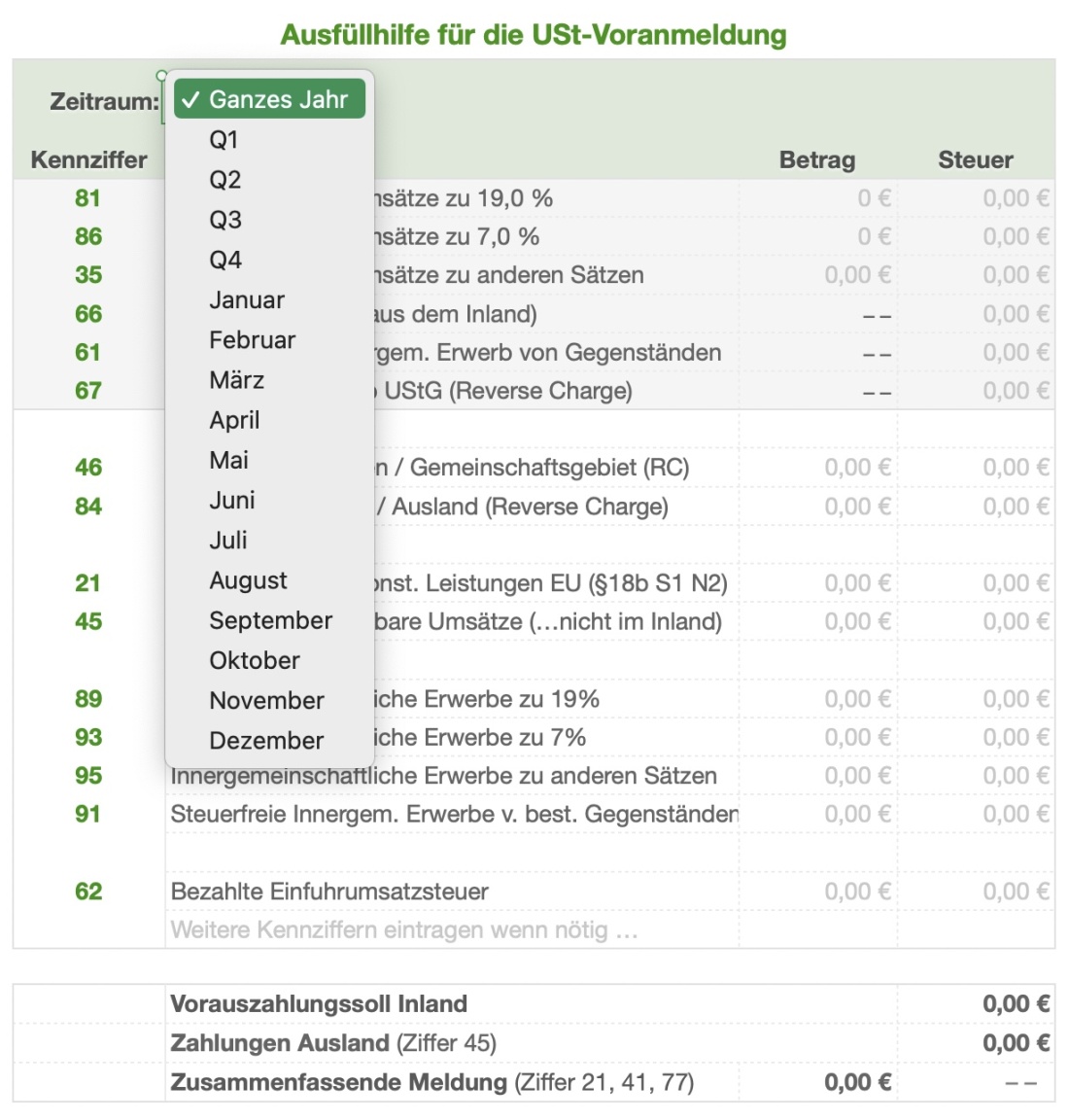 Einnahmen-Überschuss-Rechnung 2025 mit USt Ausfüllhilfe dropdown Optionen