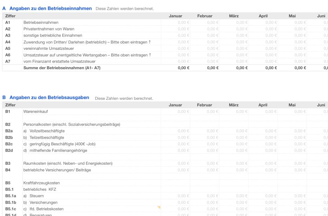 Einnahmen-Überschuss-Rechnung 2022 mit USt "Anlage EKS"